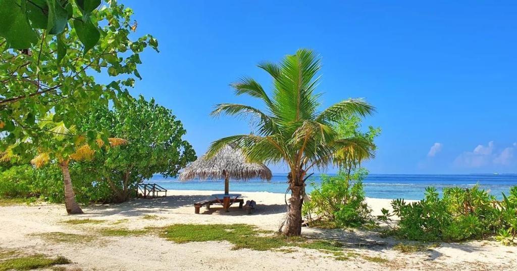 Hotel Raalhu Fonu Maldives Mahibadhoo Zewnętrze zdjęcie